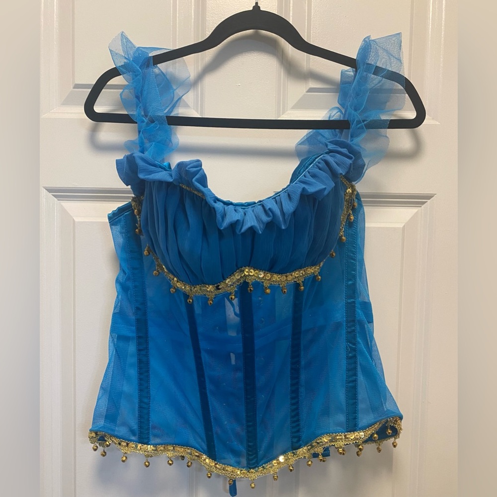 Princess Jasmine Costume